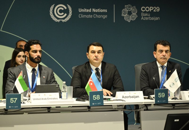 COP29 çərçivəsində Mədəniyyət Nazirlərinin 2-ci Yüksək Səviyyəli Görüşü təşkil edilib (FOTO)