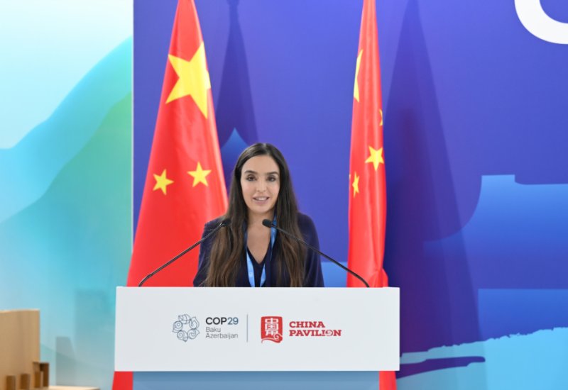 Vice-President of Heydar Aliyev Foundation Leyla Aliyeva participates in panel discussion at China pavilion (PHOTO)