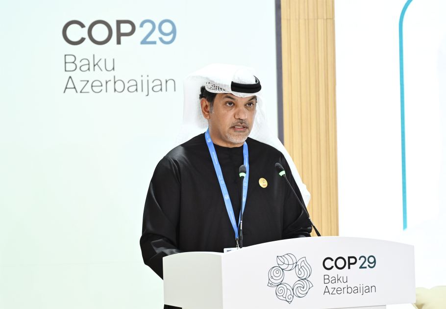 COP29