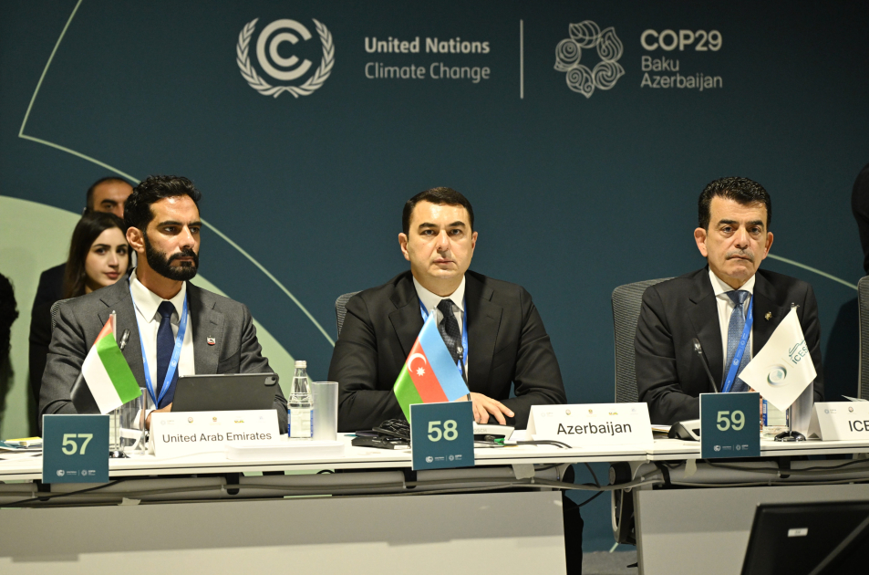 COP29 çərçivəsində Mədəniyyət Nazirlərinin 2-ci Yüksək Səviyyəli Görüşü təşkil edilib (FOTO)