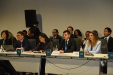 COP29 hosts investment forum on energy transition for Central Asia (PHOTO)