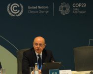 COP29 hosts investment forum on energy transition for Central Asia (PHOTO)