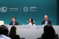 COP29