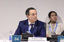 COP29 çərçivəsində “İqlim və Sülh: heç kimi arxada qoymamaq naminə birgə fəaliyyət” adlı yüksək səviyyəli panel iclası keçirilib (FOTO) (ƏLAVƏ EDİLİB)