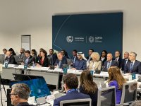 COP29 çərçivəsində “İqlim və Sülh: heç kimi arxada qoymamaq naminə birgə fəaliyyət” adlı yüksək səviyyəli panel iclası keçirilib (FOTO) (ƏLAVƏ EDİLİB)