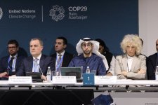 COP29 çərçivəsində “İqlim və Sülh: heç kimi arxada qoymamaq naminə birgə fəaliyyət” adlı yüksək səviyyəli panel iclası keçirilib (FOTO) (ƏLAVƏ EDİLİB)