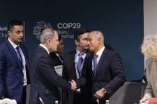 COP29 çərçivəsində “İqlim və Sülh: heç kimi arxada qoymamaq naminə birgə fəaliyyət” adlı yüksək səviyyəli panel iclası keçirilib (FOTO) (ƏLAVƏ EDİLİB)