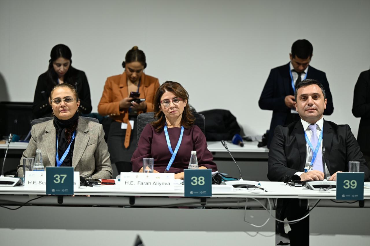 В рамках COP29 в Баку состоялась вторая встреча министров культуры высокого уровня (ФОТО)