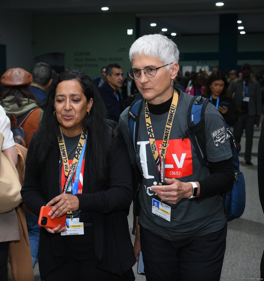 COP29-un