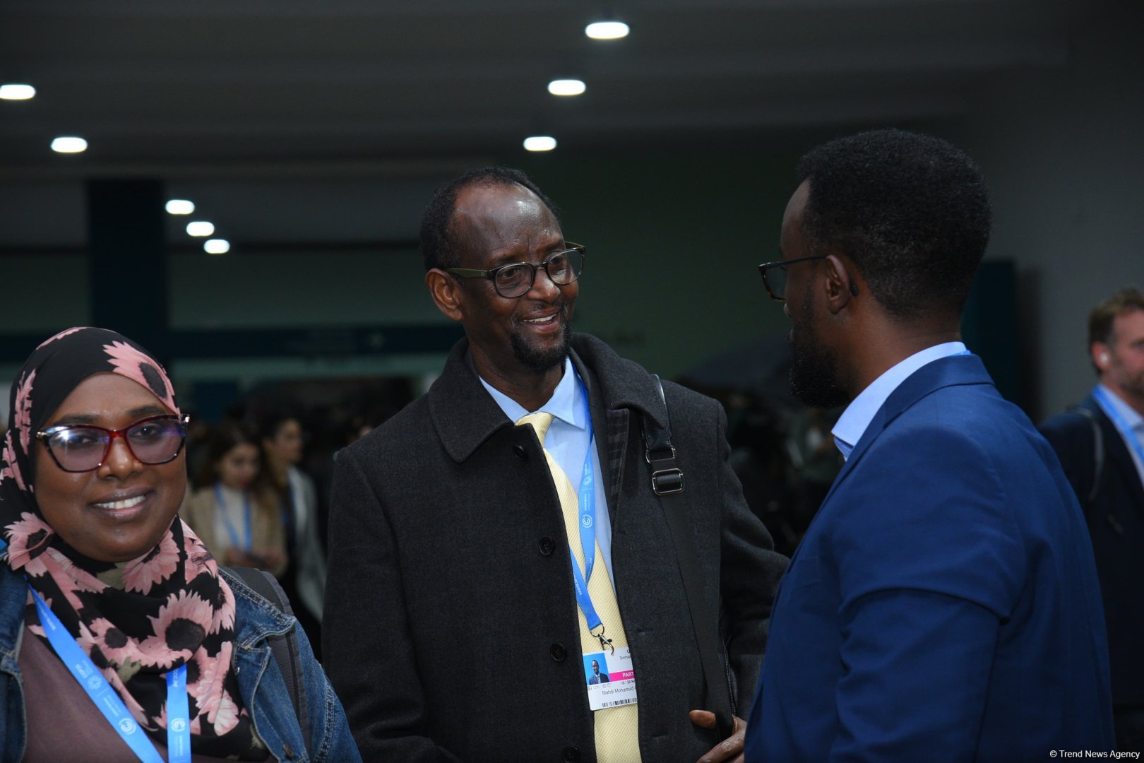 COP29-un