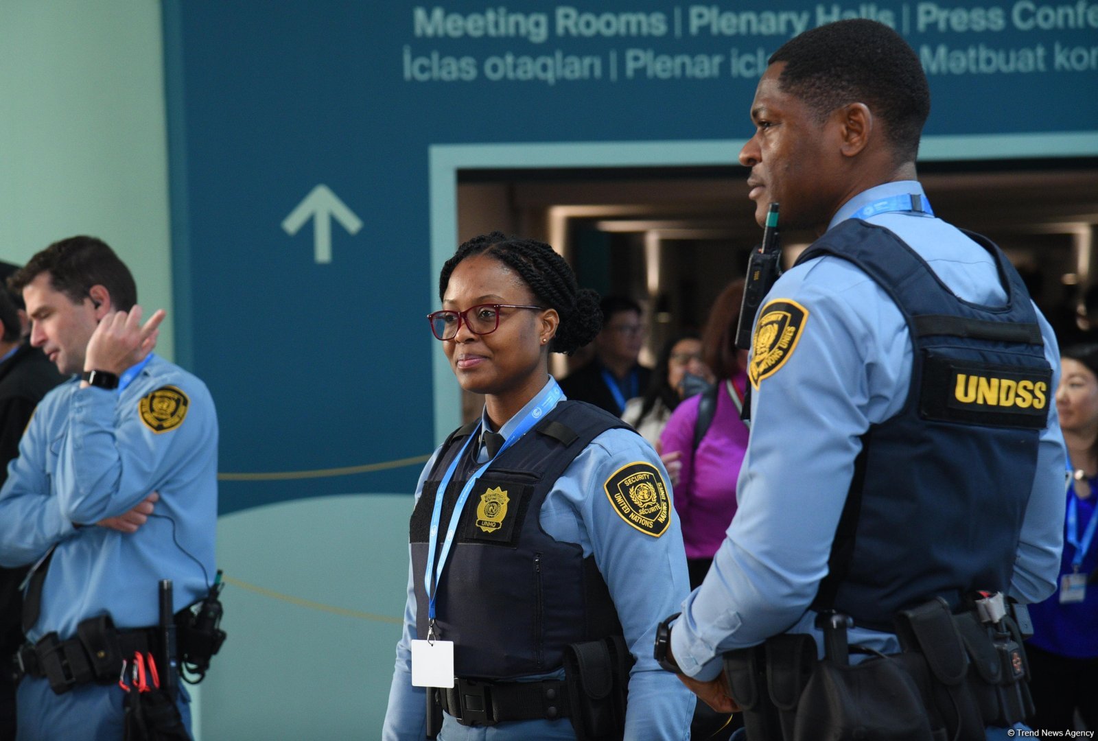 COP29-un