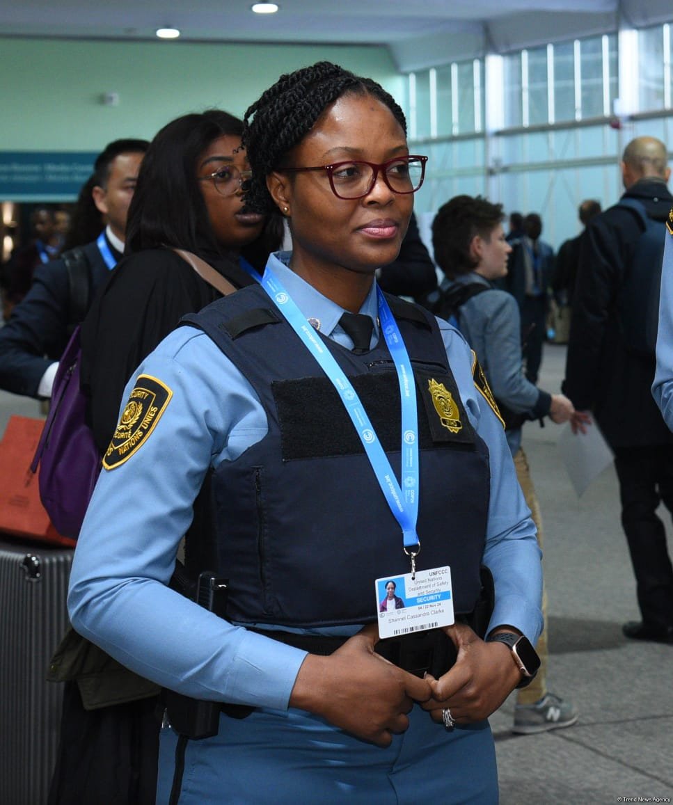 COP29-un