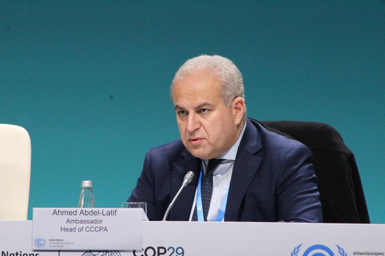 COP29 inklüziv proses oldu - Ahmed Abdel Latif