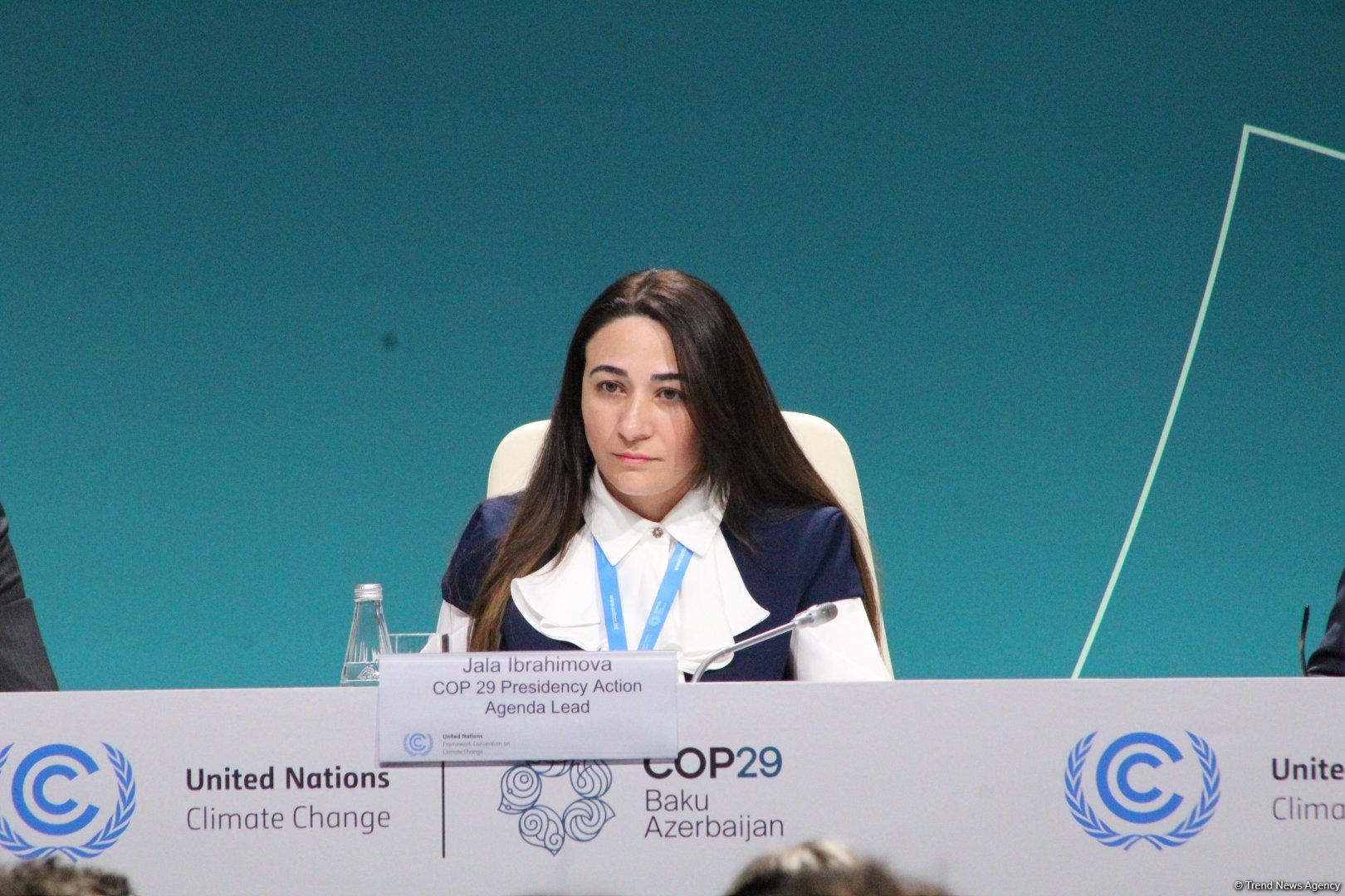 COP29