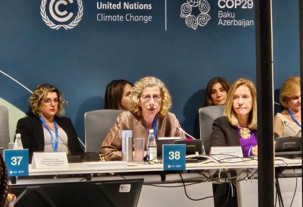 UNEP seeks active collaboration on three key conventions  - UN official