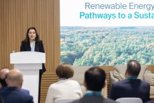 «Azerbaijan Green Energy Company» организовало панельную дискуссию на COP29 по инвестициям в возобновляемую энергию