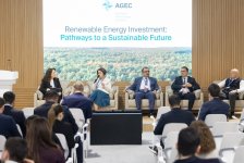 «Azerbaijan Green Energy Company» организовало панельную дискуссию на COP29 по инвестициям в возобновляемую энергию