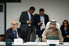 COP29-da İqlim Maliyyəsi, Sərmayə və Ticarət üzrə Bakı Təşəbbüsü Dialoquna start verilib (FOTO)