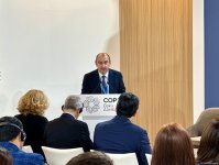 COP29 çərçivəsində Azərbaycanın “Ətraf mühit üzrə fəaliyyətin icmalı”  hesabatının təqdimatı  keçirilib (FOTO) (ƏLAVƏ EDİLİB)