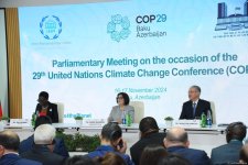 Azerbaijan's Baku hosts parliamentary meeting within COP29 (PHOTO)