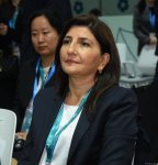 Azerbaijan's Baku hosts parliamentary meeting within COP29 (PHOTO)