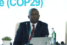 В рамках COP29 состоялась сессия по разбору глобальной архитектуры климатического финансирования на полях Парламентской встречи (ФОТО)