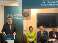 COP29-da iqlim dəyişmələrinin sağlamlığa təsiri mövzusunda müzakirələr aparılıb (FOTO)