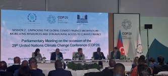 COP29