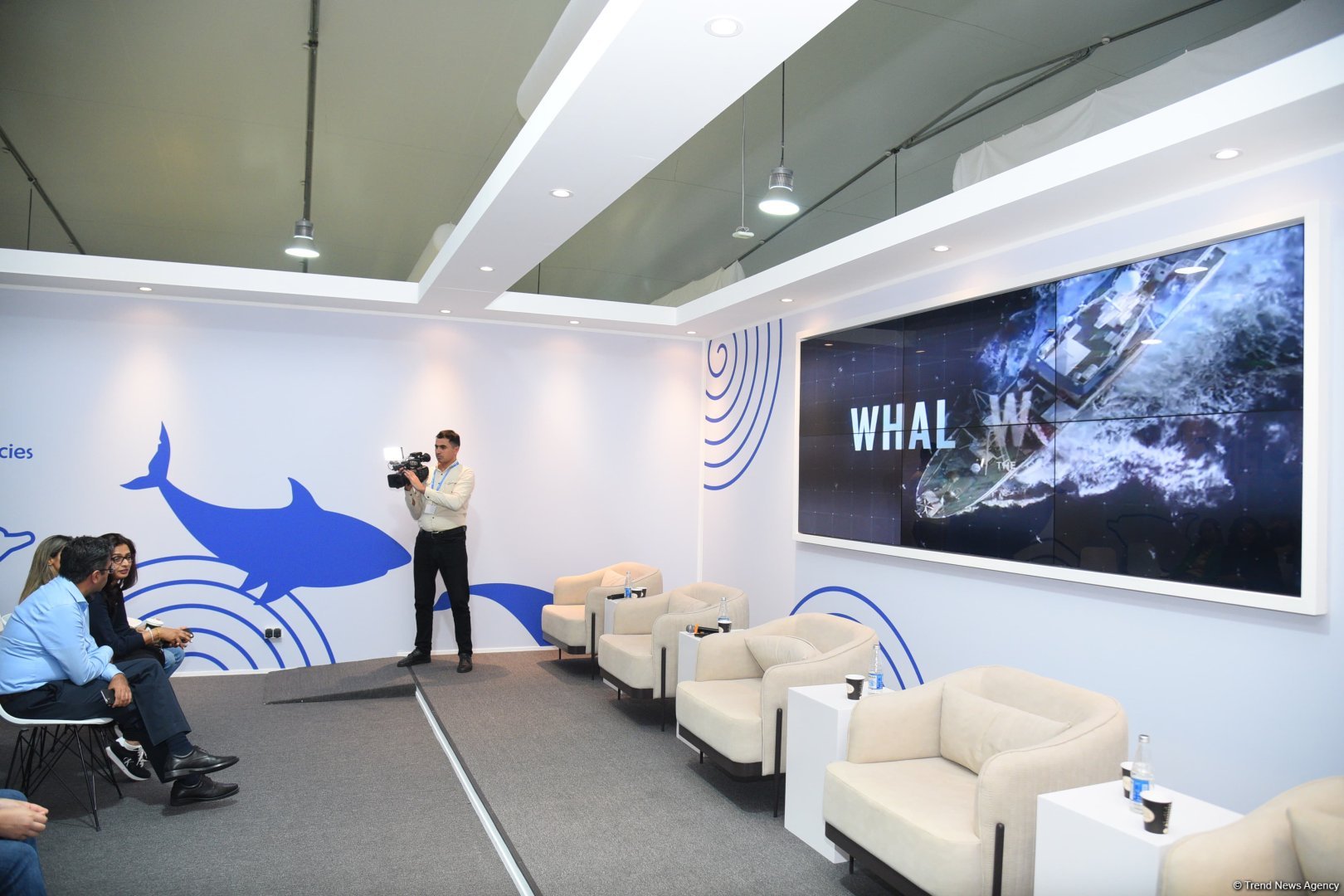 На COP29 состоялась презентация документального фильма "Whale Wash" (ФОТО)