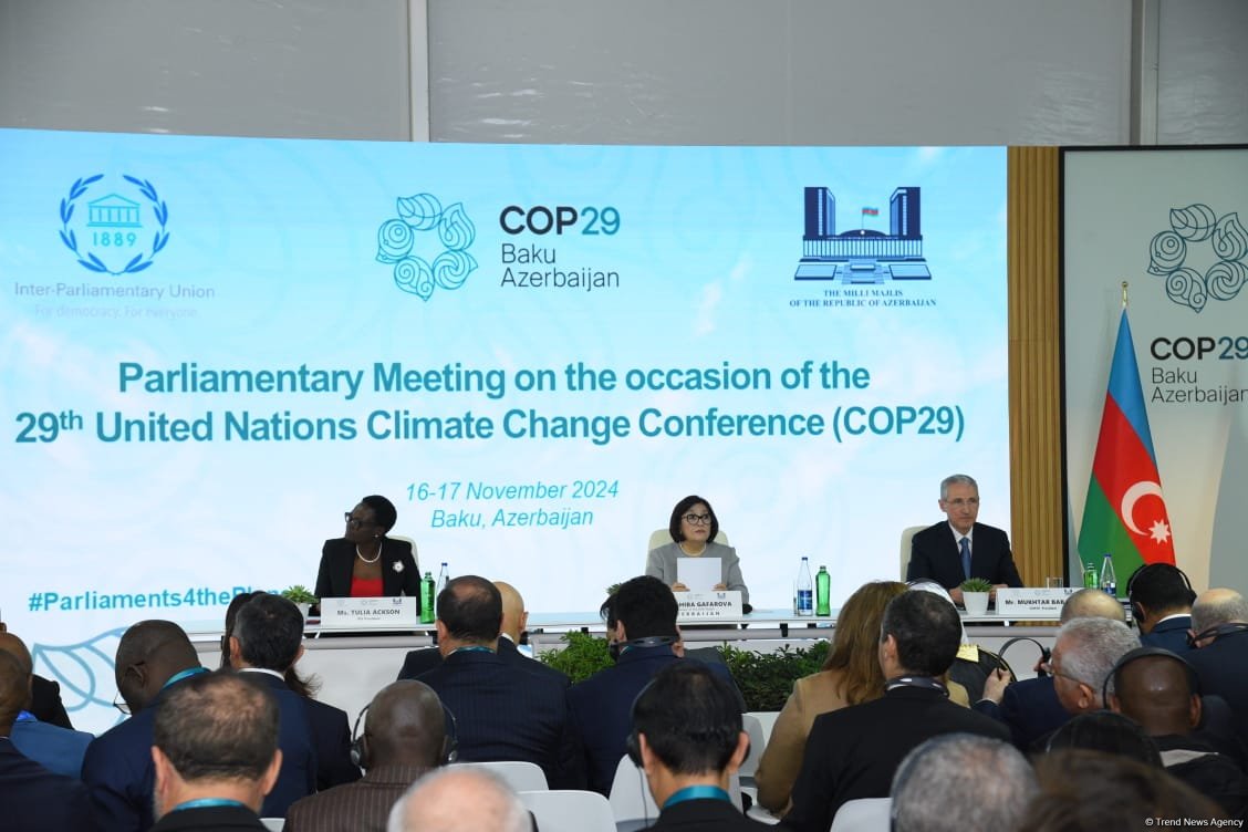 COP29