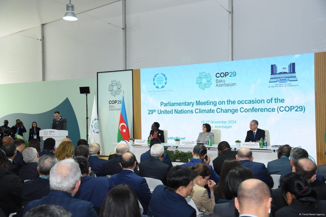 COP29