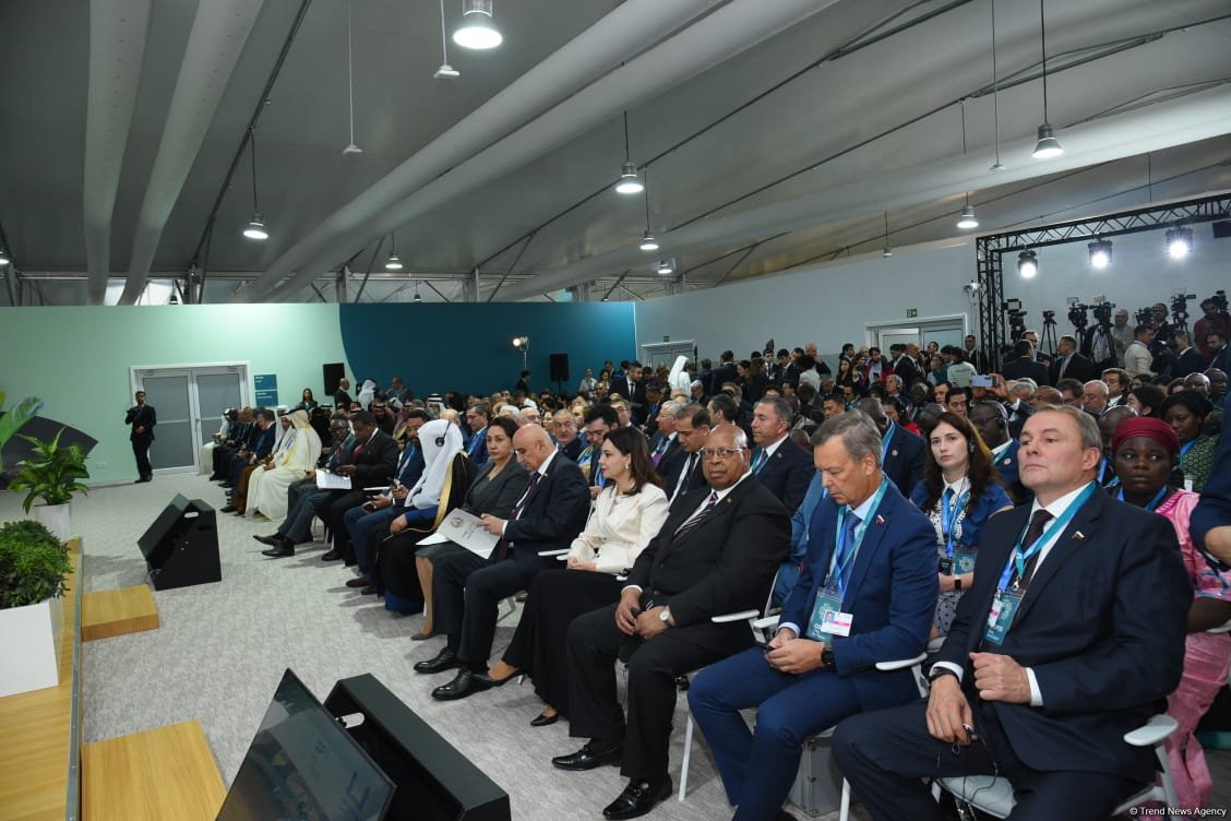 Azerbaijan's Baku hosts parliamentary meeting within COP29 (PHOTO)