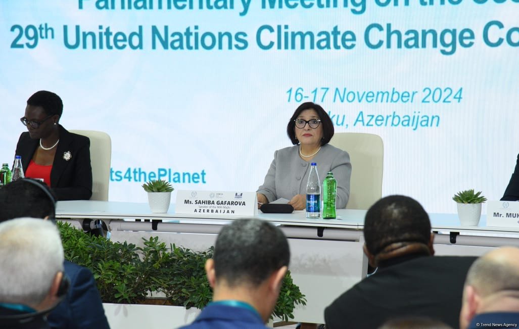 Azerbaijan encountered slam campaigns during its COP29 hosting preparations - Sahiba Gafarova