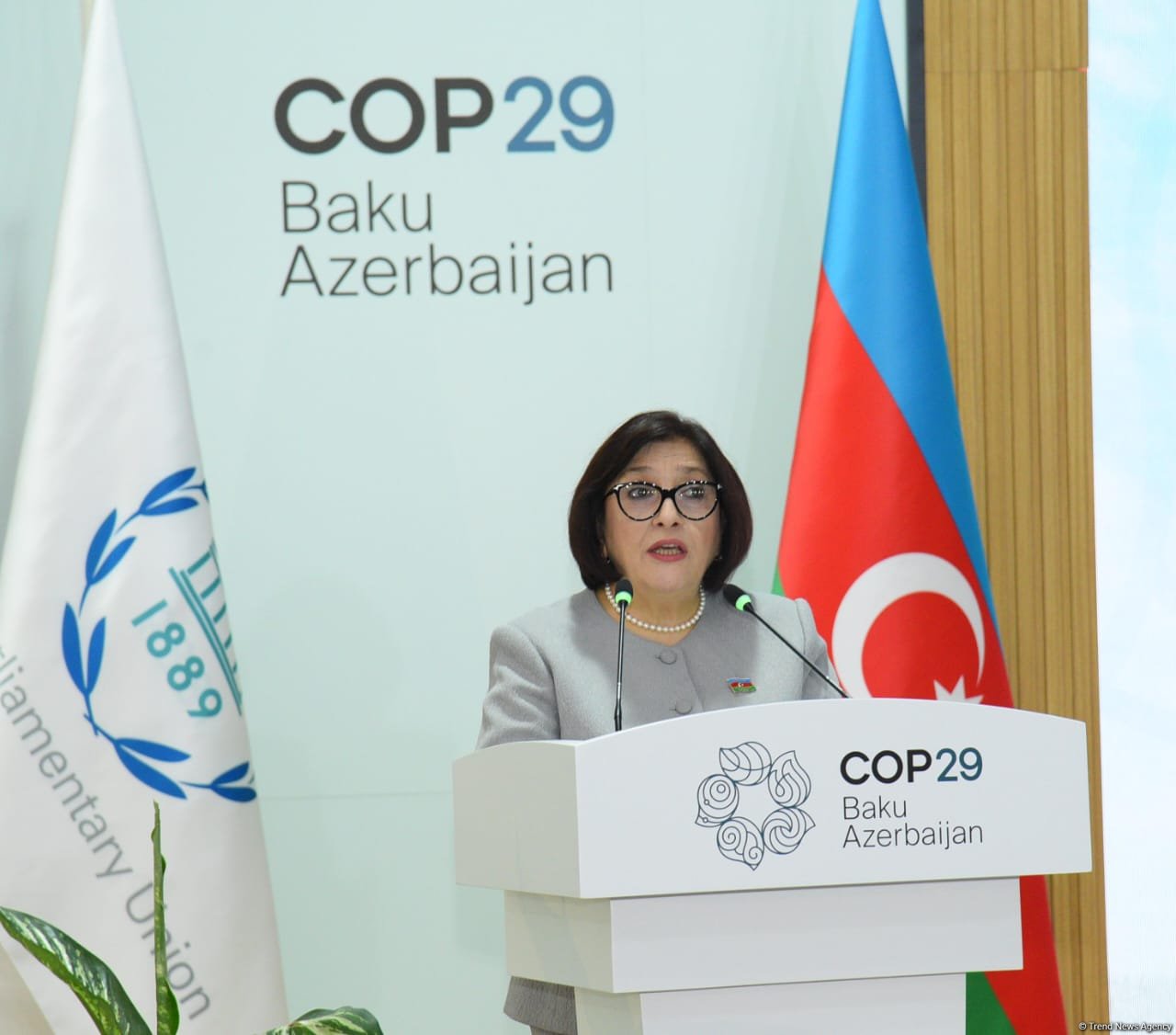 Parliamentary solidarity key to tackling climate crisis, says Azerbaijani parliament speaker