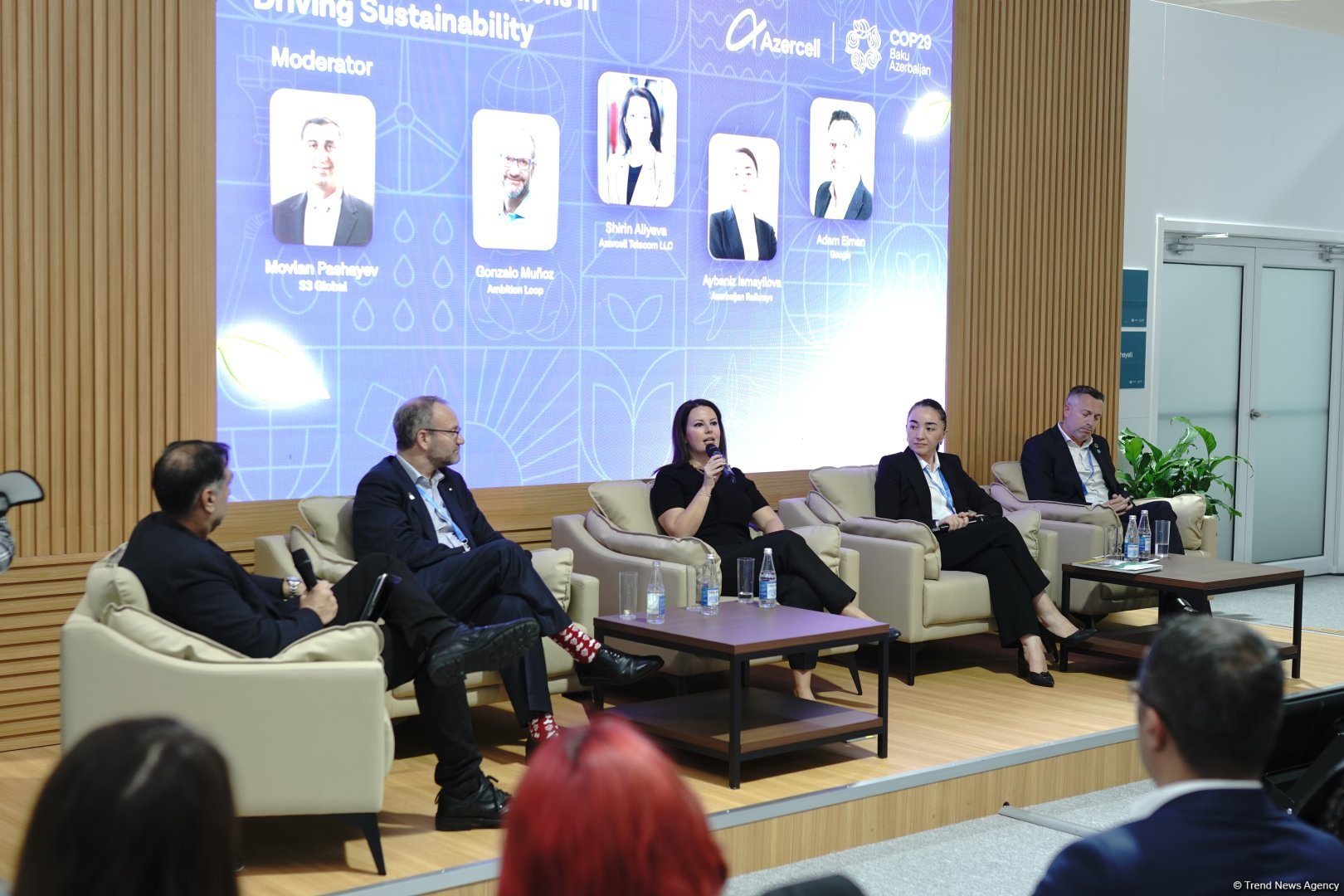 Panel discussion on empowering youth for digital climate revolution held at COP29 Green Zone (PHOTO)