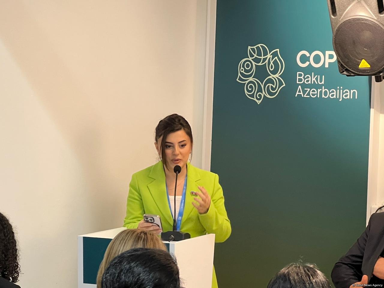 COP29-da iqlim dəyişmələrinin sağlamlığa təsiri mövzusunda müzakirələr aparılıb (FOTO)