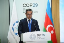 Участники Парламентской встречи COP29 приняли итоговый документ (ФОТО)