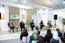 COP29 hosts "Culture and Creative Carbon Cut: The International Scenario" forum (PHOTO)