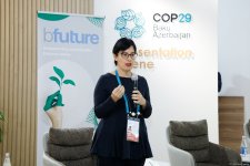 COP29