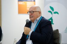 COP29 hosts "Culture and Creative Carbon Cut: The International Scenario" forum (PHOTO)