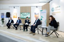 COP29 hosts "Culture and Creative Carbon Cut: The International Scenario" forum (PHOTO)