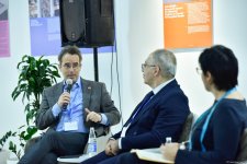 COP29 hosts "Culture and Creative Carbon Cut: The International Scenario" forum (PHOTO)