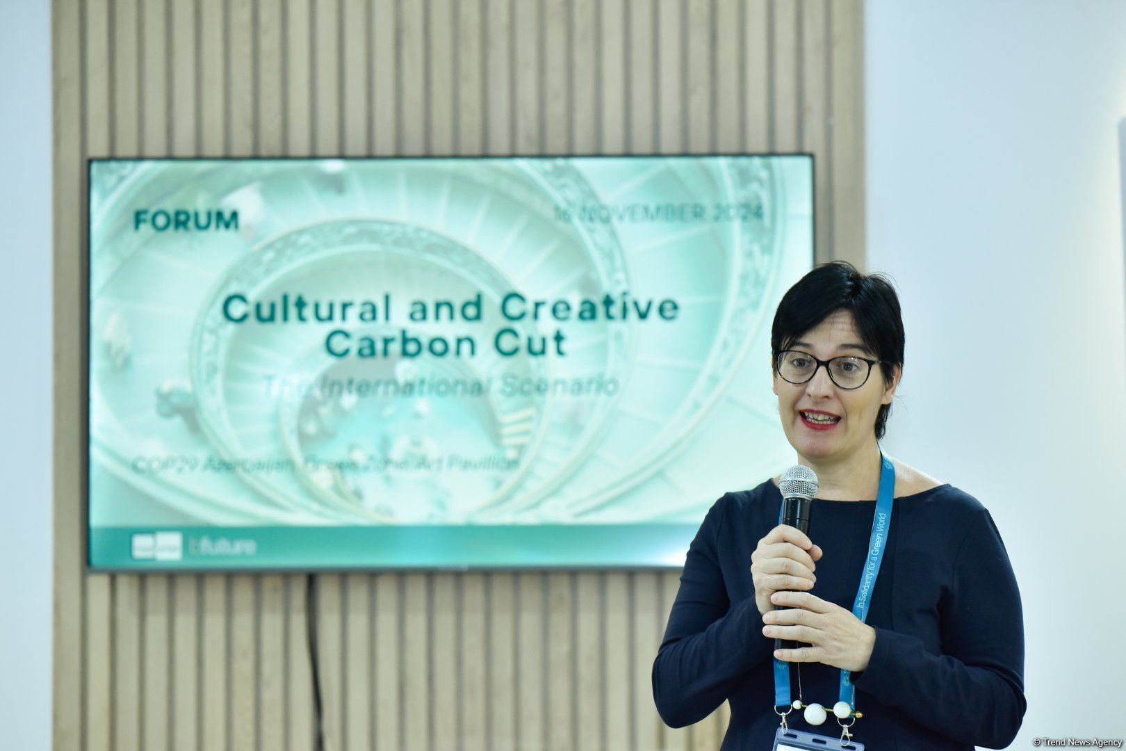 COP29 hosts "Culture and Creative Carbon Cut: The International Scenario" forum (PHOTO)