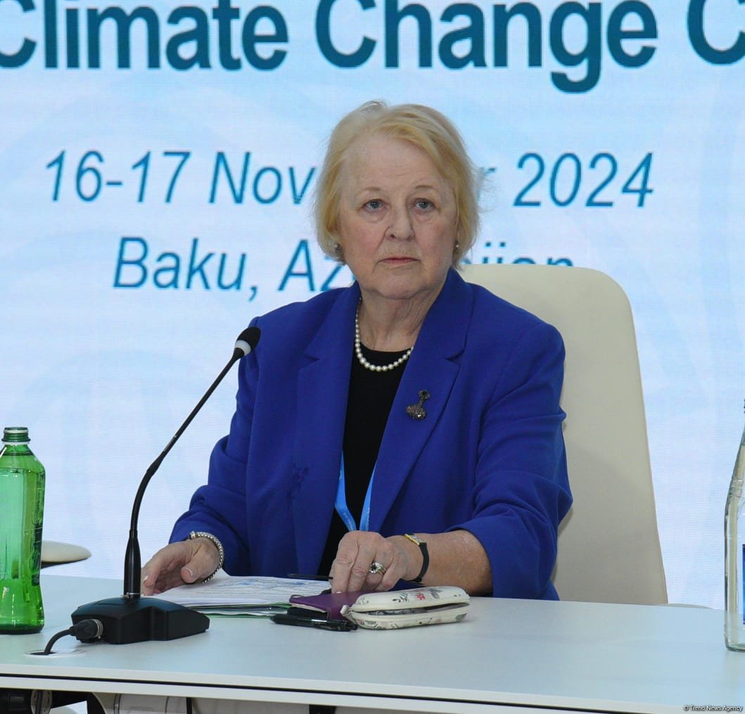 Bakıda COP29 çərçivəsində Parlament Görüşü davam edir (FOTO)