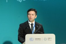 COP29 çərçivəsində İqlimə davamlı gələcək üçün insan inkişafına sərmayə qoyuluşu üzrə Yüksək Səviyyəli Görüş keçirilir (FOTO)