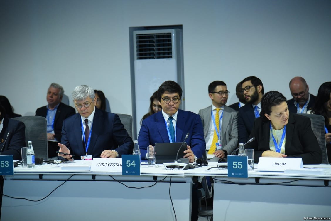 COP29 hosts ministerial roundtable on global climate transparency (PHOTO)