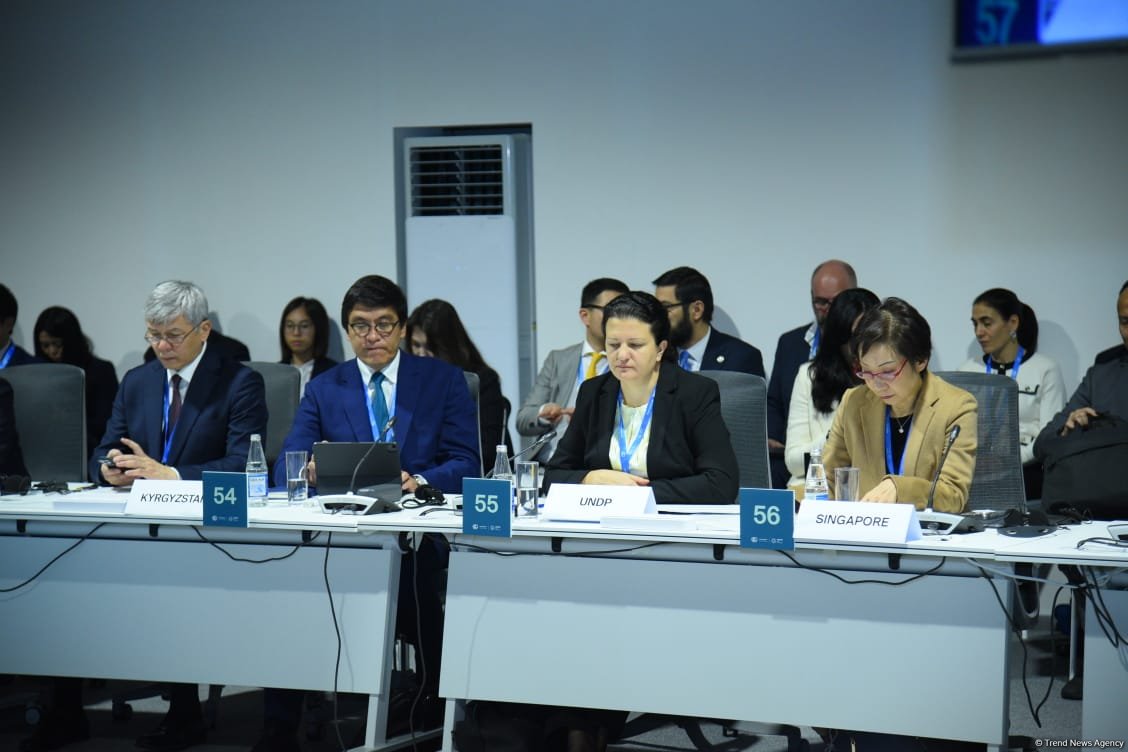 COP29 hosts ministerial roundtable on global climate transparency (PHOTO)