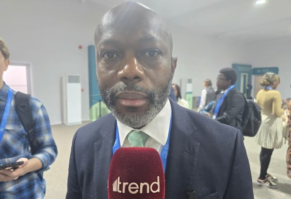 COP for Hope: COP29 in Baku optimizes solving financial issues - Sierra Leonean minister