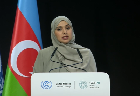 UAE committed to continue combating climate change - minister