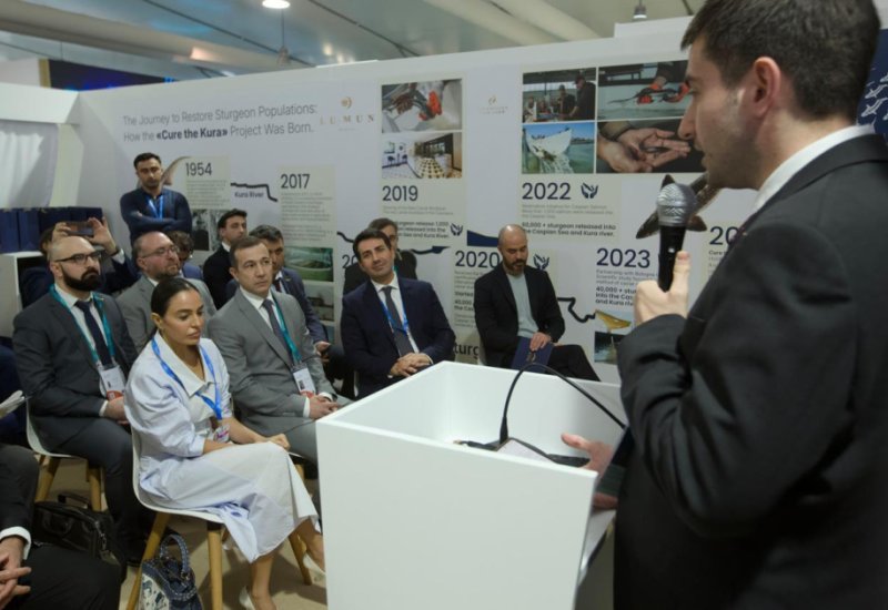 Vice-President of Heydar Aliyev Foundation Leyla Aliyeva participates in juvenile fish release event at COP29 Green Zone (PHOTO)